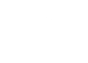 Franks International Footwear